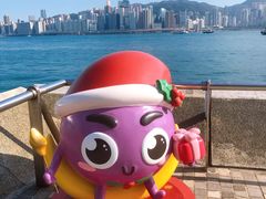 -星光大道