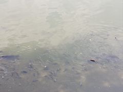 -建水文庙