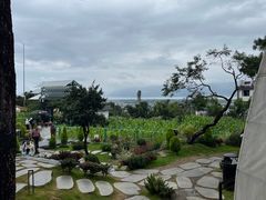 -云禾壹海景庄园餐厅