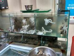 -东海章鱼馆(恒瑞街店)