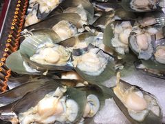 大扇贝-吉布鲁牛排海鲜自助(朝阳广场店)