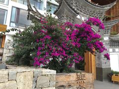 -大理无舍度假酒店