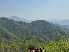 -大岭沟猕猴桃谷风景区