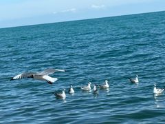 -青海湖国家重点风景名胜区