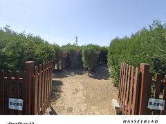 -亲兄弟真人CS团建拓展基地