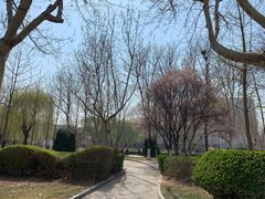 -裕华世纪公园