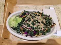 -油梨树 AVOCADO TREE(亮马桥店)