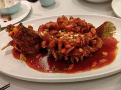 -蝶园·装修中(BFC外滩金融中心店)