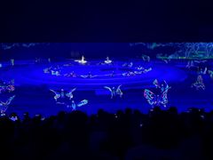 -鼎盛王朝康熙大典实景演出