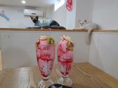 -李小姐の猫咖啡馆(五角场店)