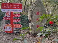 -上海佘山国家森林公园天马山园