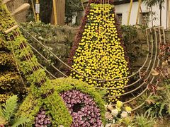 -杭州植物园