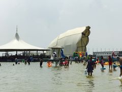 -碧海金沙