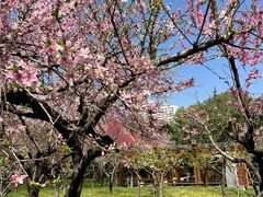 -木塔寺遗址生态公园