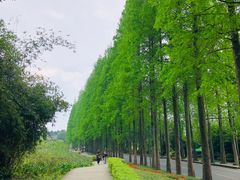 -青城山