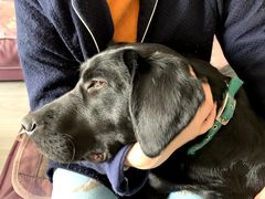 -八公叔叔宠物美容连锁(春申店)