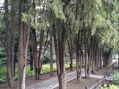 -晋祠公园