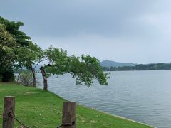 -石湖景区