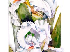 -八哥美术·成人美术画室(总校区)