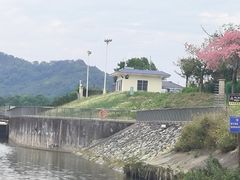 -风云岭森林公园