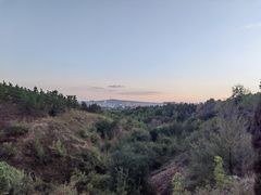 -红山国家森林公园