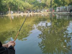 -酷鱼垂钓CLUB(朝阳区博大路店 )