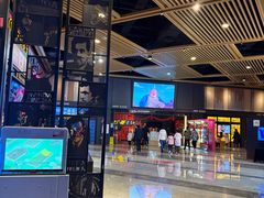 -万达影城(闵行颛桥万达广场杜比影院店)