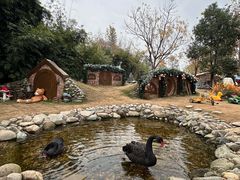 -HERRE·FARM 赫尔露营农场·团建聚会包场