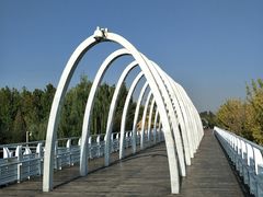 -大兴滨河森林公园