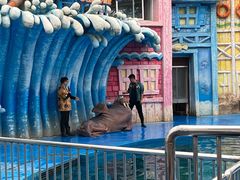 -华夏文旅海洋公园