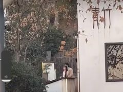 -青竺·青竹茶舍(断桥店)