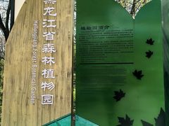 -黑龙江省森林植物园