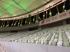 -深圳市宝安体育中心体育场