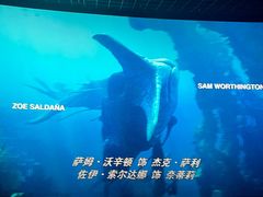 -星河寰宇IMAX影城(星河WORLD·COCO Park店)