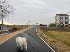 -南京老山国家森林公园