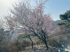 -香山公园