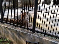 -广东茂名森林公园