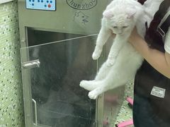-瑞鹏·疫苗·绝育·宠物医院(金沙洲店)