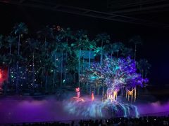-三亚红色娘子军演艺公园景区