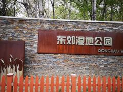 -东郊湿地公园