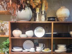 -自由生长植物工作室(深港花卉中心店)