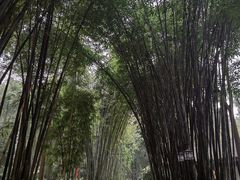 -成都杜甫草堂博物馆