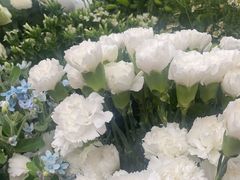 -亭亭鲜花店(中山北路店)