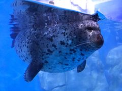 -多彩贵州城极地海洋世界