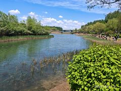 -丁香湖公园