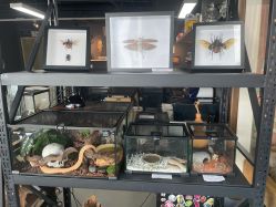 -周忆刺青原创设计定制