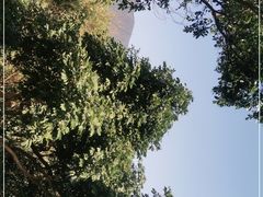 -梧桐山风景名胜区