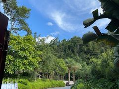-腾冲洞山温泉村