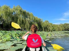 -WhaleSports户外水上运动俱乐部(朝阳公园店)