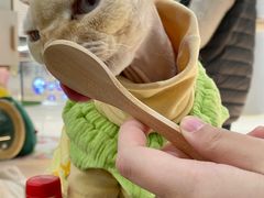 -COLOR PETS 撸猫馆·购猫·猫咖(长风大悦城店)